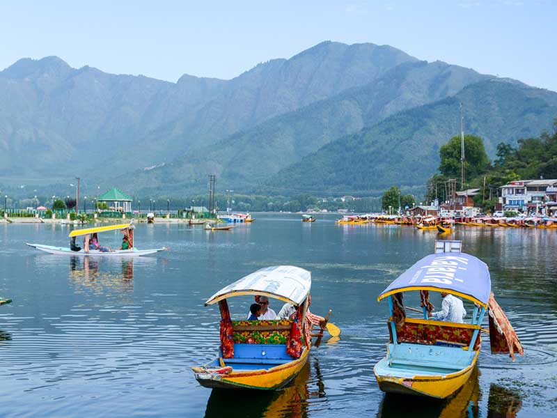 Kashmir Paradise